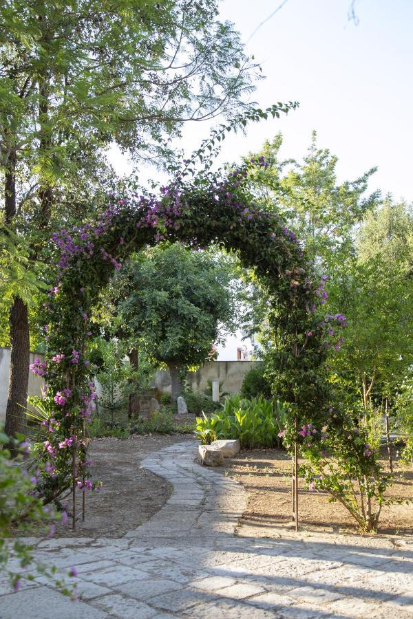 Palazzo Francesco Grassi Bed and breakfast